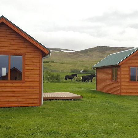 Hvammstangi Cottages Eksteriør bilde