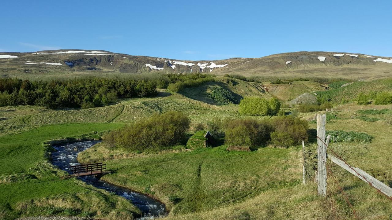 Hvammstangi Cottages Eksteriør bilde